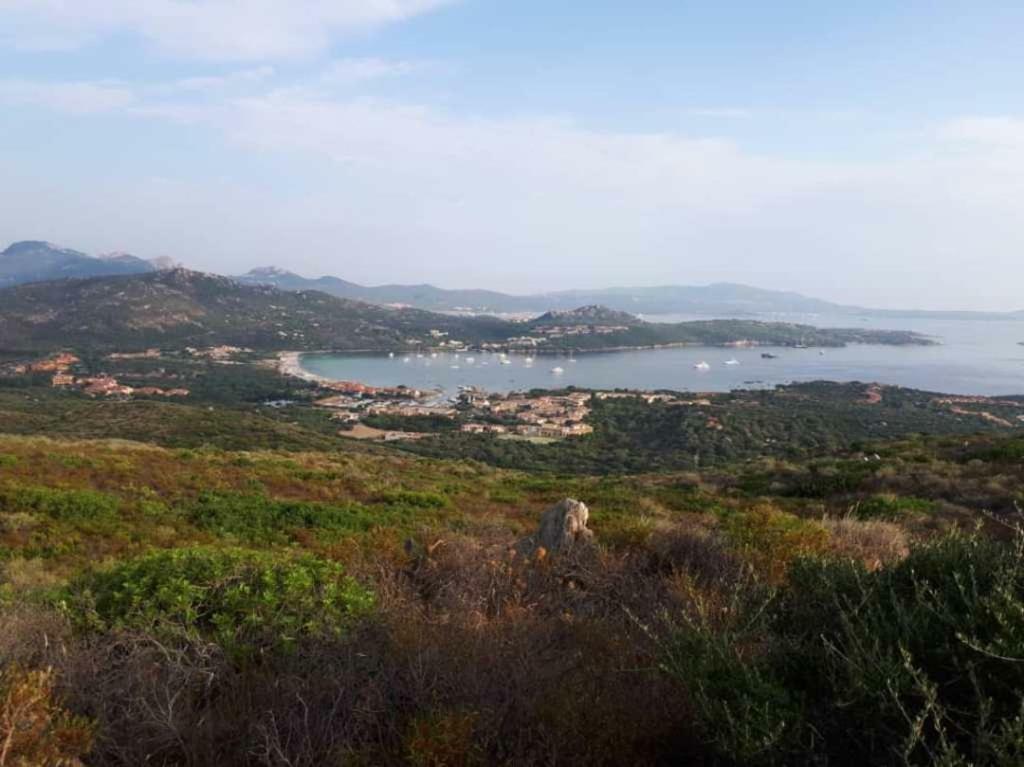 Villa Saba Olbia Exterior foto