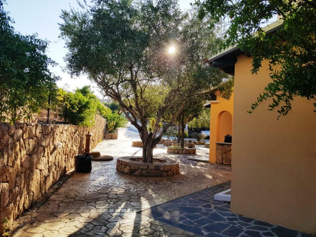 Villa Saba Olbia Exterior foto
